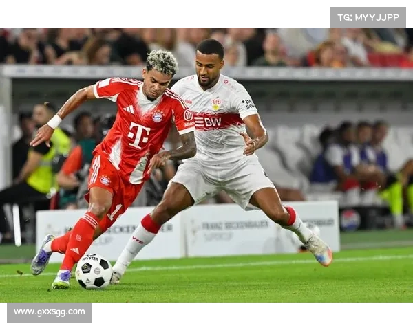 拜仁慕尼黑未来发展规划：如何提升球队整体实力与结构优化